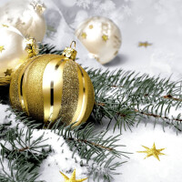 PAPER+DESIGN Weihnachts-Zelltuchserviette, Zweig und...