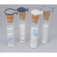 Geldgeschenkglas Holzfische sortiert Konfirmatiion