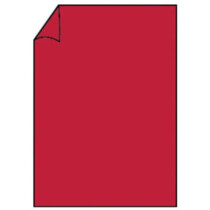 RÖSSLER Blatt Paperado, A4, 100 g m², rot matt