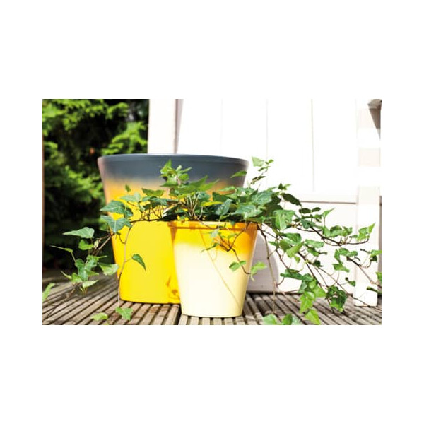 EDDING Spray permanent Trendfarben sortiert 51555 24DS