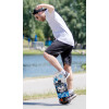 SCHILDKRÖT Skateboard Grinder 31" Inferno