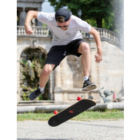 SCHILDKRÖT Skateboard Kicker 31" Red Parkour