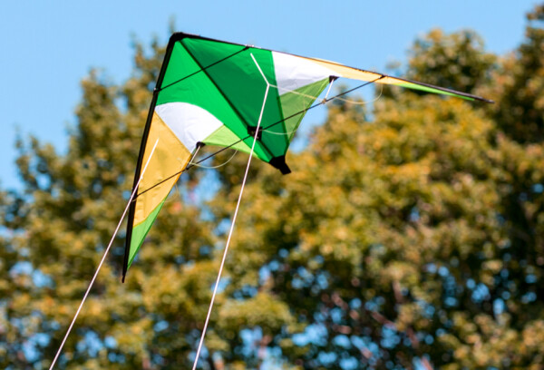 SCHILDKRÖT Lenkdrache Stunt Kite 133, grün
