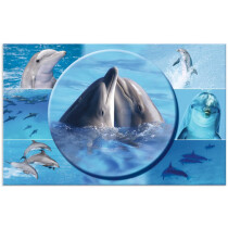 HERMA Schreibunterlage "Delfin", (B)550 x...
