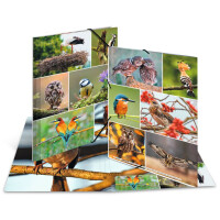 HERMA Eckspannermappe "Waldtiere", Karton, DIN A4