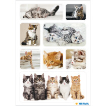 HERMA Sticker DECOR "Katzenkinder"