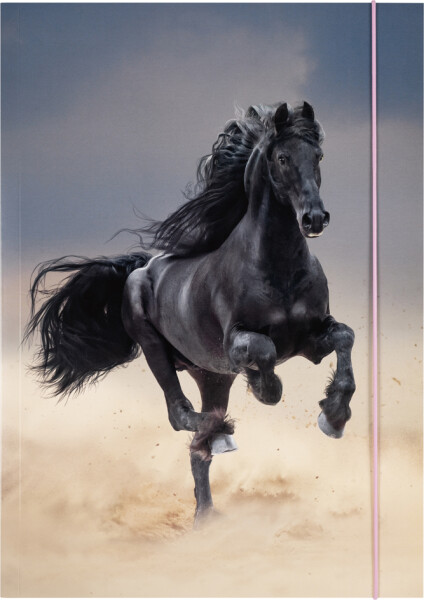 folia Zeichnungsmappe BASIC "Black Horse", Karton, DIN A3