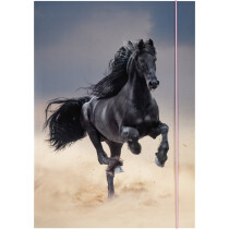 folia Zeichnungsmappe BASIC "Black Horse",...