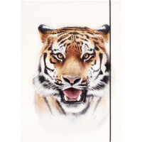 folia Zeichnungsmappe BASIC "Roaring Tiger",...