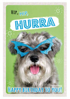 SUSY CARD Geburtstagskarte - Humor "Brillenhund"