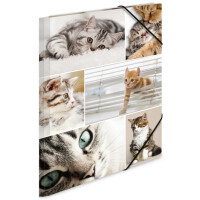 HERMA Eckspannermappe "Katzen", aus Karton, DIN A3