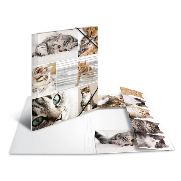 HERMA Eckspannermappe "Hunde", aus Karton, DIN A3