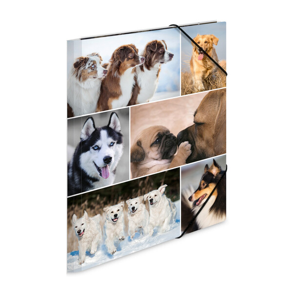 HERMA Eckspannermappe "Hunde", aus Karton, DIN A3