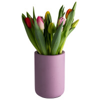 APS Flaschenkühler ELEMENT, Beton, hellgrün