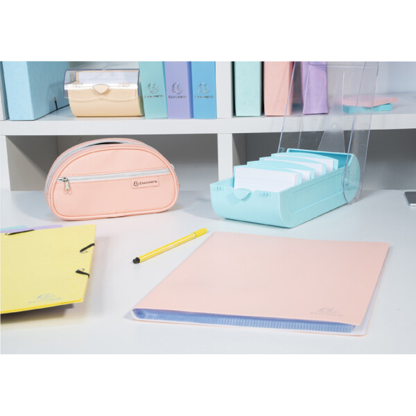EXACOMPTA Lernkartei BunnyBox, A8, pastellgrün