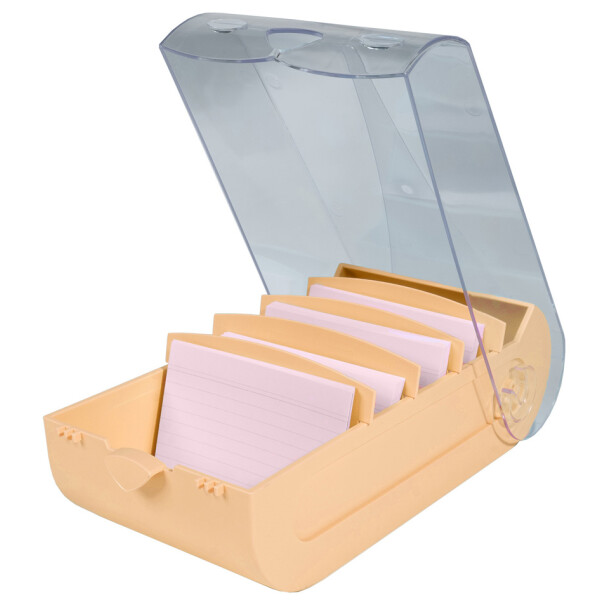 EXACOMPTA Lernkartei BunnyBox, A8, pastellgrün