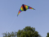 SCHILDKRÖT Lenkdrache Stunt Kite 160, Regenbogenfarben