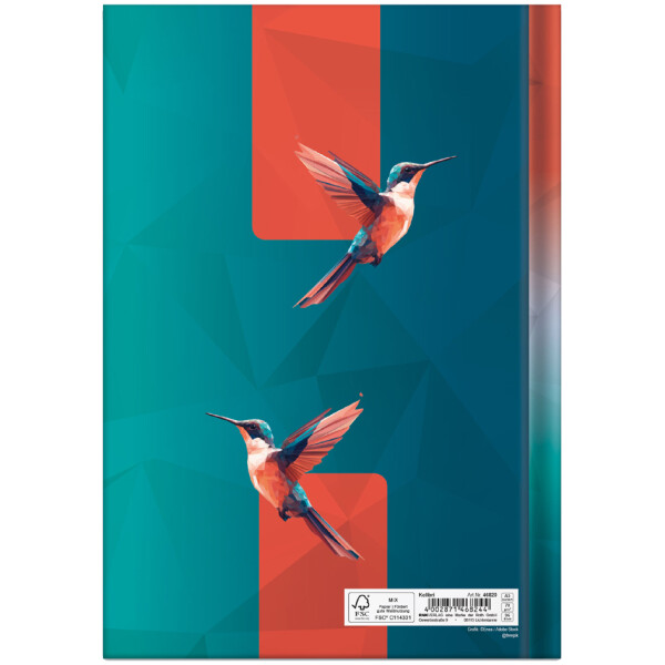 RNK Verlag Notizbuch "Axolotl", DIN A5, 96 Blatt, kariert