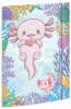 RNK Verlag Zeichnungsmappe "Axolotl", Karton, DIN A4