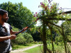 Garten PRIMUS Ersatzschneidekopf für Rosenkavalier