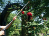 Garten PRIMUS Ersatzschneidekopf für Rosenkavalier