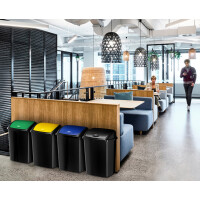 CEP Abfallbehälter ROSSIGNOL, mit Einwurfklappe, 50...