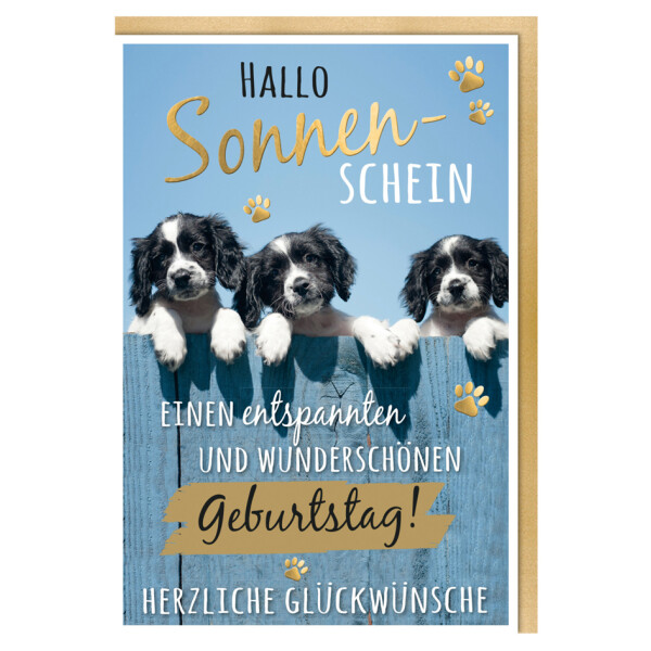 SUSY CARD Geburtstagskarte - Humor "Mischlingshunde"