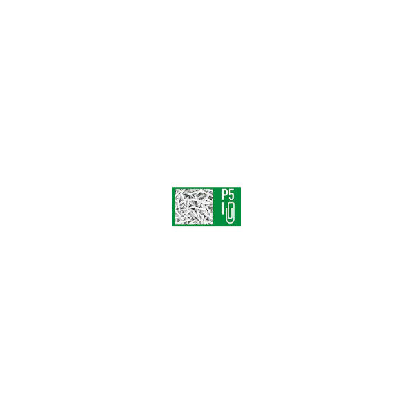 LEITZ Aktenvernichter IQ Protect Premium 3M P5, Mikro-Partikelschnitt, 3 Blatt, weiß 8093-00-00