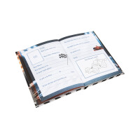GOLDBUCH Freundebuch Racing Champion, A5 43 089