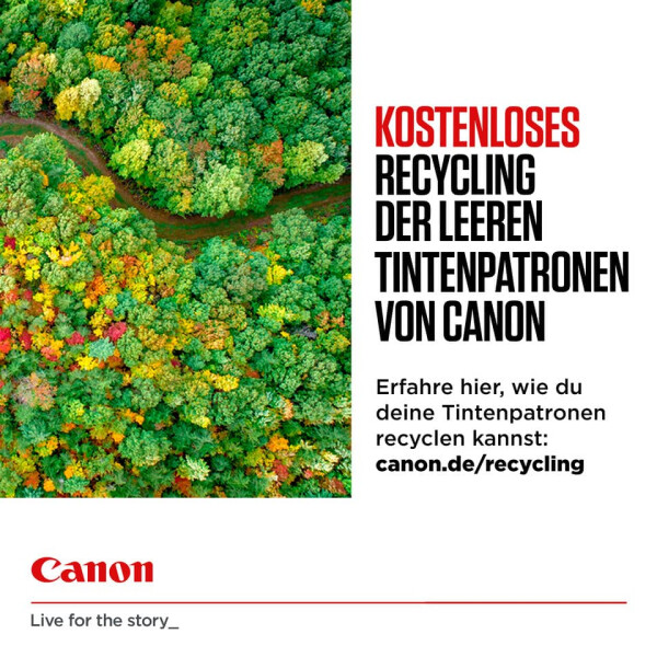 Canon Inkjetpatrone CL546 3-farbig 8289B001