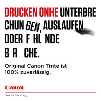 Canon Inkjetpatrone CL546 3-farbig 8289B001