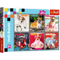 TREFL Puzzle glückliche Hunde 200 Teile