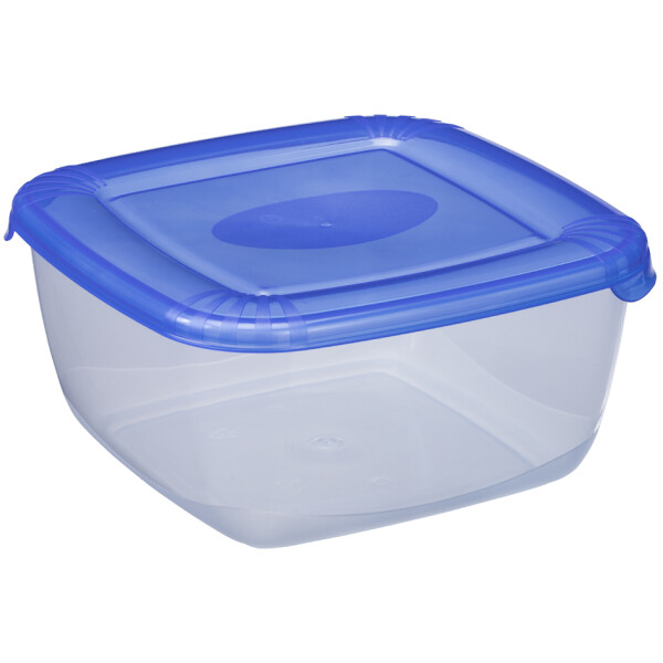 plast team Gefrierdose Polar, 0,46 Liter, blau, quadratisch