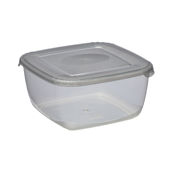 plast team Gefrierdose Polar, 1,5 Liter, blau, quadratisch