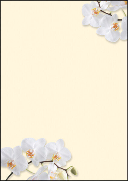 sigel Design-Papier, DIN A4, 90 g qm, Motiv "White Orchid"