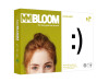 MM Bloom Excellent Kopierpapier A4 80g/m2 (1 Karton; 2.500 Blatt)