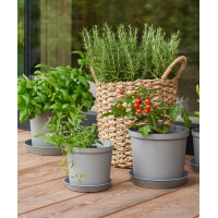 orthex Untersetzer CULTIVATE, Durchmesser: 120 mm, grau