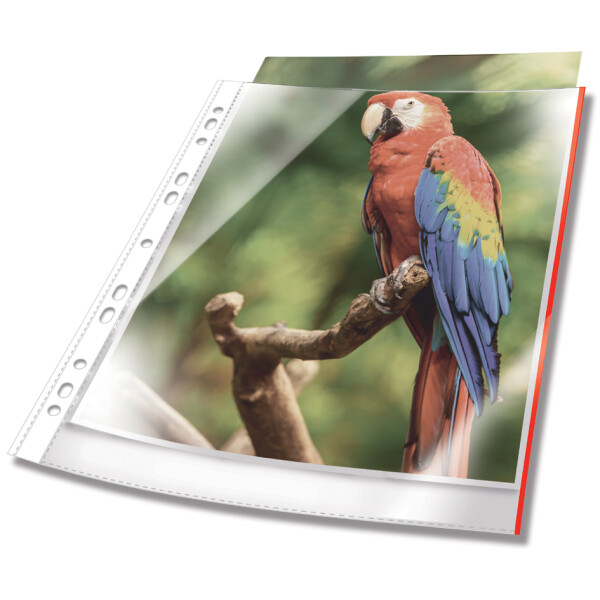 DURABLE Prospekthülle PREMIUM, DIN A4, PP, Rand rot