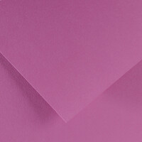 CANSON Tonpapier Vivaldi, 500 x 650 mm, leder