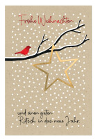 SUSY CARD Weihnachtskarte "Xmas bird"