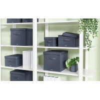 LEITZ Ablagebox aus Stoff, Größe L, 2er Set,...