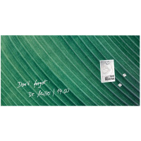 sigel Glas-Magnettafel Artverum Design Palm Leaf, (B)910 mm