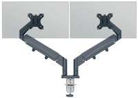 LEITZ Doppel-Monitorarm Ergo Dual, Armlänge: 453 mm,samtgrau