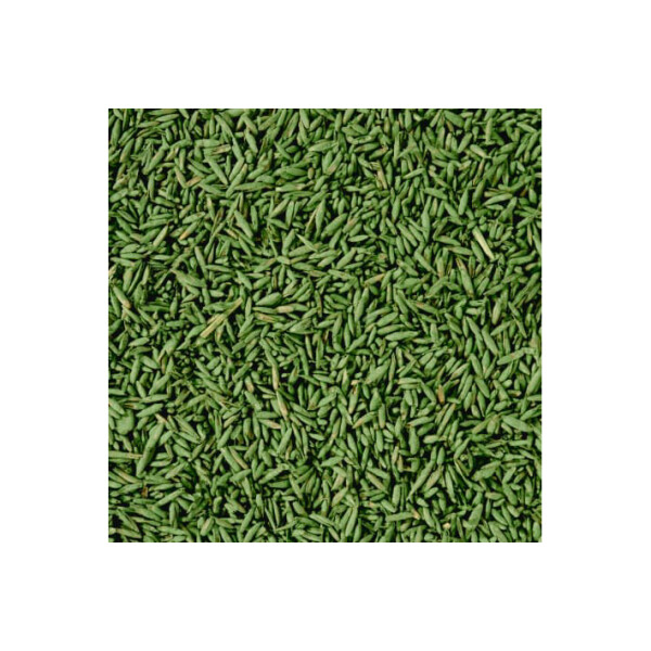 COMPO SAAT Schatten-Rasen, 1 kg für 50 qm