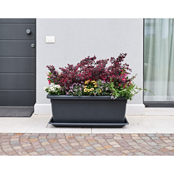 tera Pflanztrog "Tikal", Breite: 620 mm, terrakotta