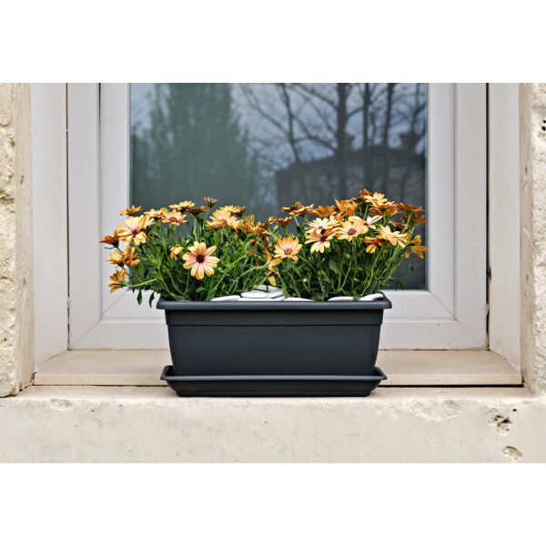 tera Blumenkasten "Nara", Breite: 500 mm, terrakotta