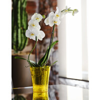 tera Orchideentopf "Orchidea 14", transparent