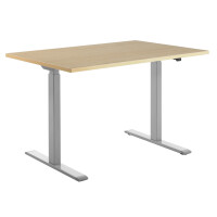 Topstar Sitz- Steh-Schreibtisch, (B)1.600 mm, grau, weiß