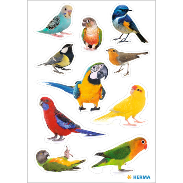 HERMA Sticker DECOR Greifvögel