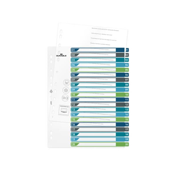 DURABLE Ordnerregister, PP, 1, 20, farbige Taben, beschriftbar, A4+ hoch, 245 x 305 mm
